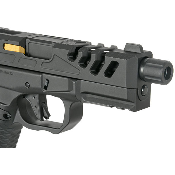 F1 FIREARMS BSF-19B - Noir EMG